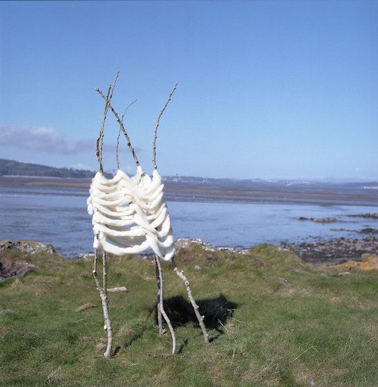 Image of sculpture in the landscape. Branches coming out of the ground with Welsh sheep's wool woven around. 