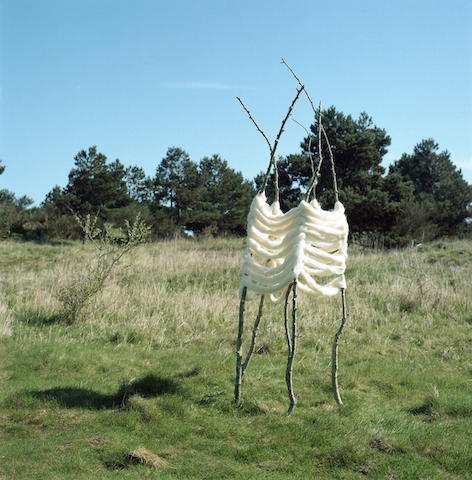 Image of sculpture in the landscape. Branches coming out of the ground with Welsh sheep's wool woven around. 