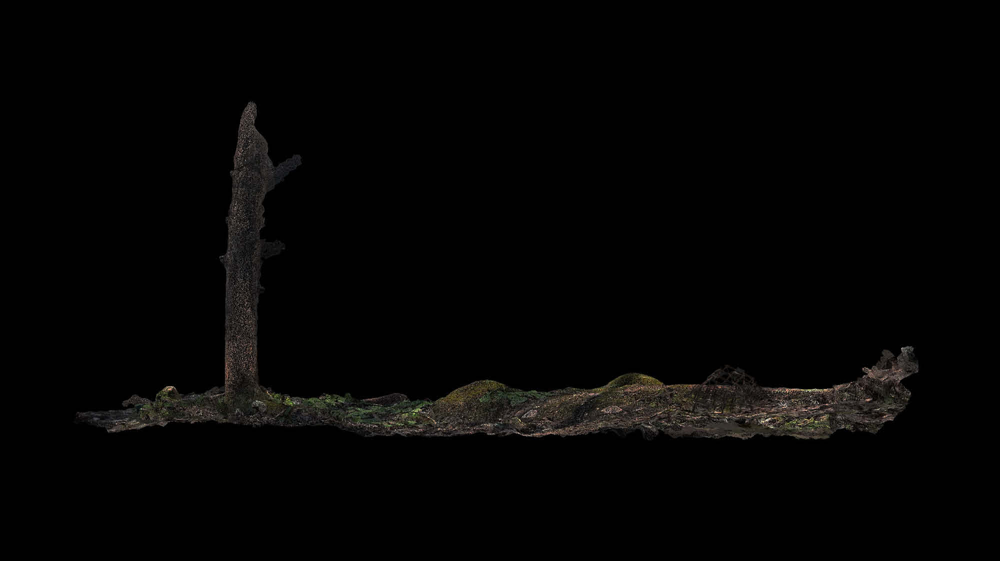 Crab Trellis Point Before