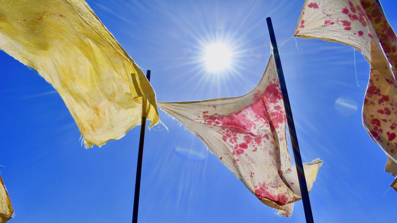Sculpture in the landscape. Long metal poles jut out of the ground and have floating hand-dyed bits of fabric floating attached and floating in the wind.
