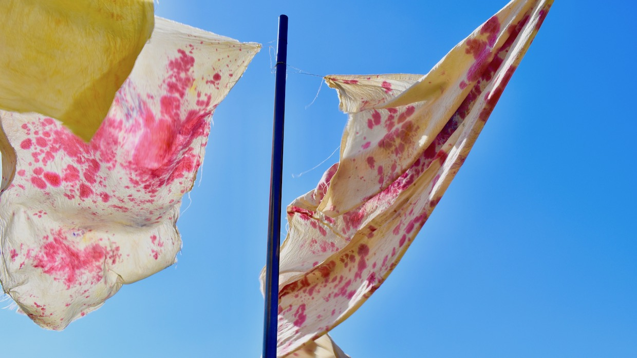 Sculpture in the landscape. Long metal poles jut out of the ground and have floating hand-dyed bits of fabric floating attached and floating in the wind.