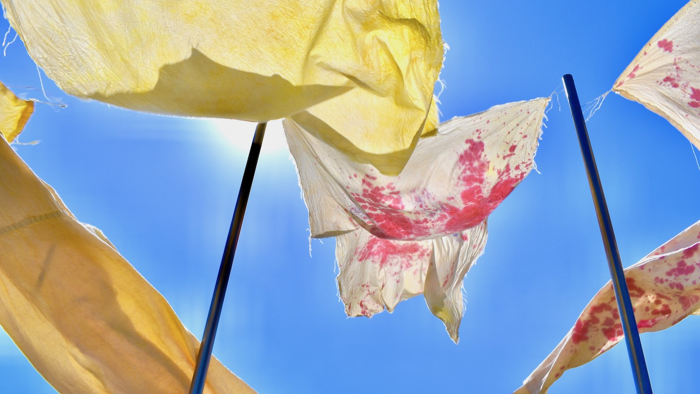 Sculpture in the landscape. Long metal poles jut out of the ground and have floating hand-dyed bits of fabric floating attached and floating in the wind.
