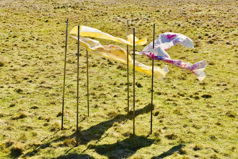 Sculpture in the landscape. Long metal poles jut out of the ground and have floating hand-dyed bits of fabric floating attached and floating in the wind.