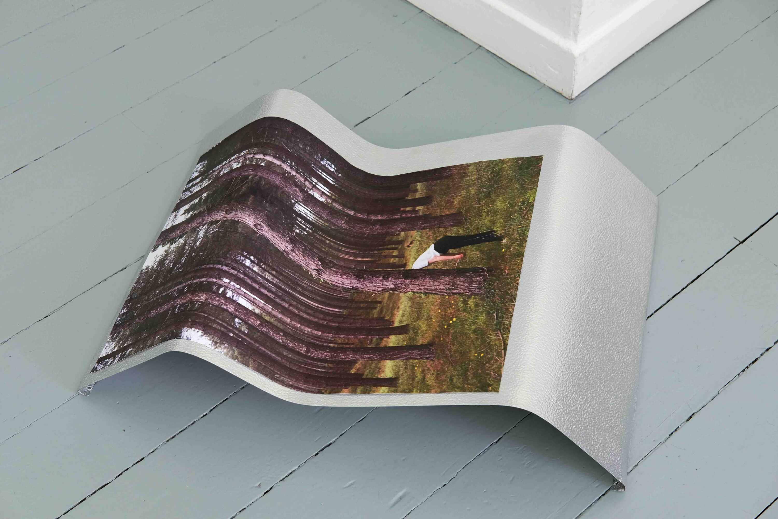 Image on metal sculpture