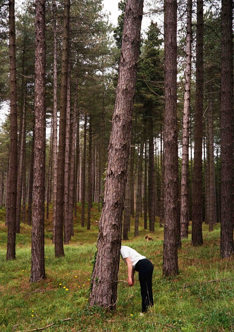 Image of a Forrest with a female body leaning against one of the trees